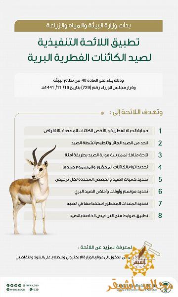 “البيئة” تبدأ تطبيق اللائحة التنفيذية لصيد الكائنات الفطرية البرية في المملكة