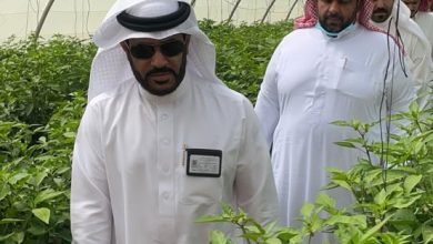 صورة مدير عام فرع وزارة البيئة بمنطقة الرياض يزور مزرعة الناصر