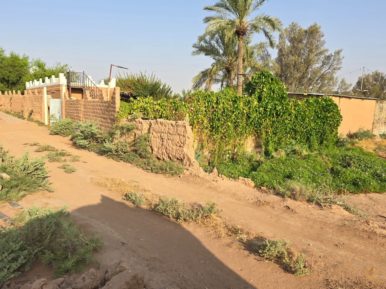 نبيل .. رحمك الله يانجمً أَفل